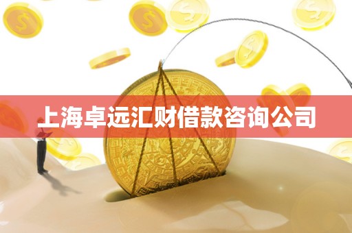 上海卓远汇财借款咨询公司