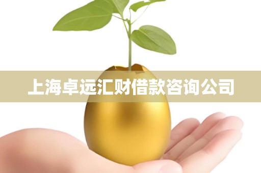 上海卓远汇财借款咨询公司