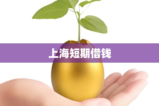 上海短期借钱