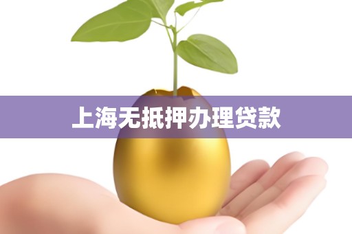 上海无抵押办理贷款