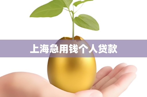 上海急用钱个人贷款