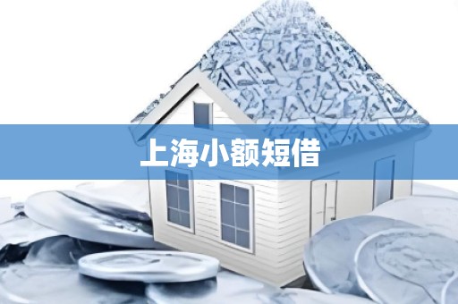 上海小额短借