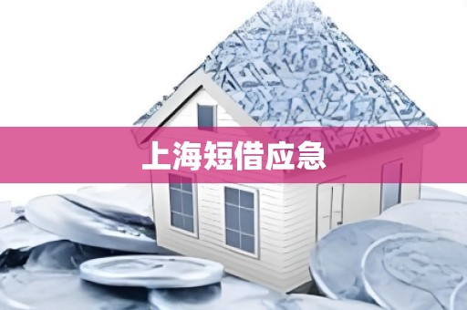 上海短借应急